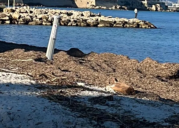 Vue Acces Garage Apartment *